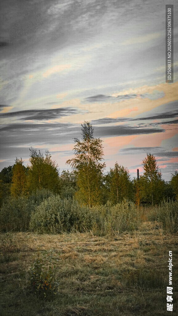 黄昏下的原野与树林