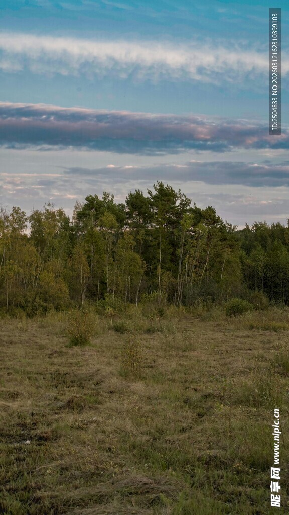 广袤原野与远处林木景观