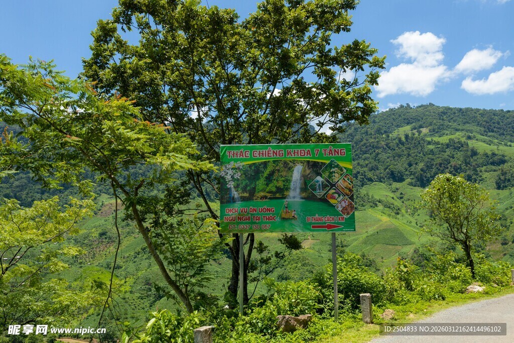 山间绿荫小路的自然景致