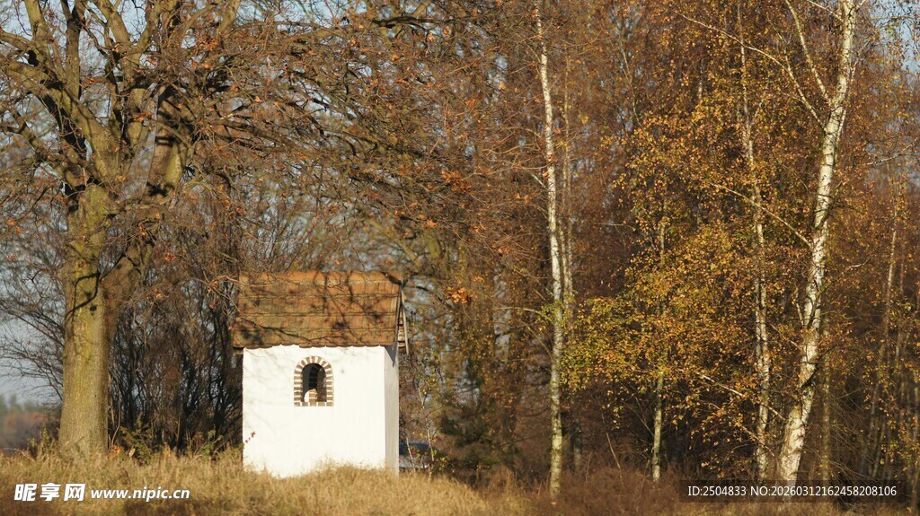 秋日林间的白色小屋