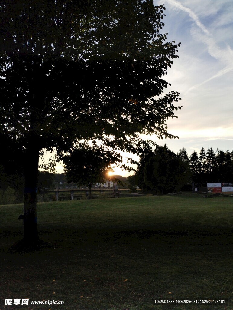 黄昏下的静谧草地与树木