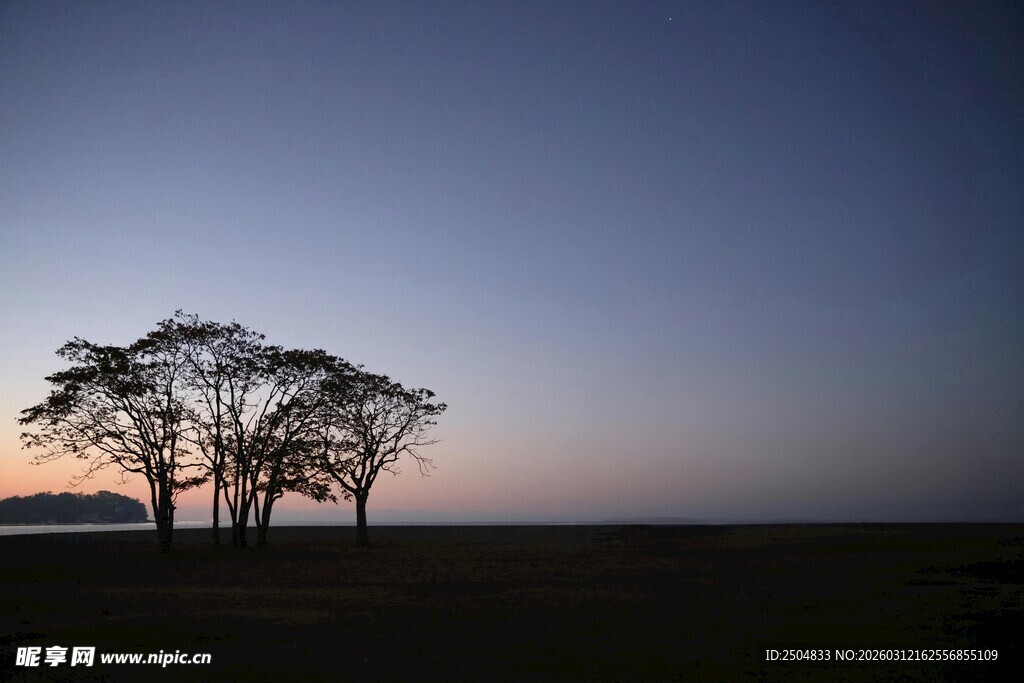 黄昏下的孤树剪影
