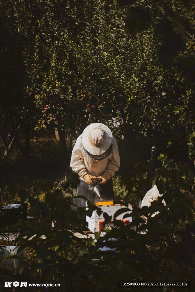 户外写生的艺术家