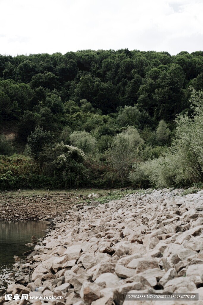 河畔碎石与葱郁山林景观