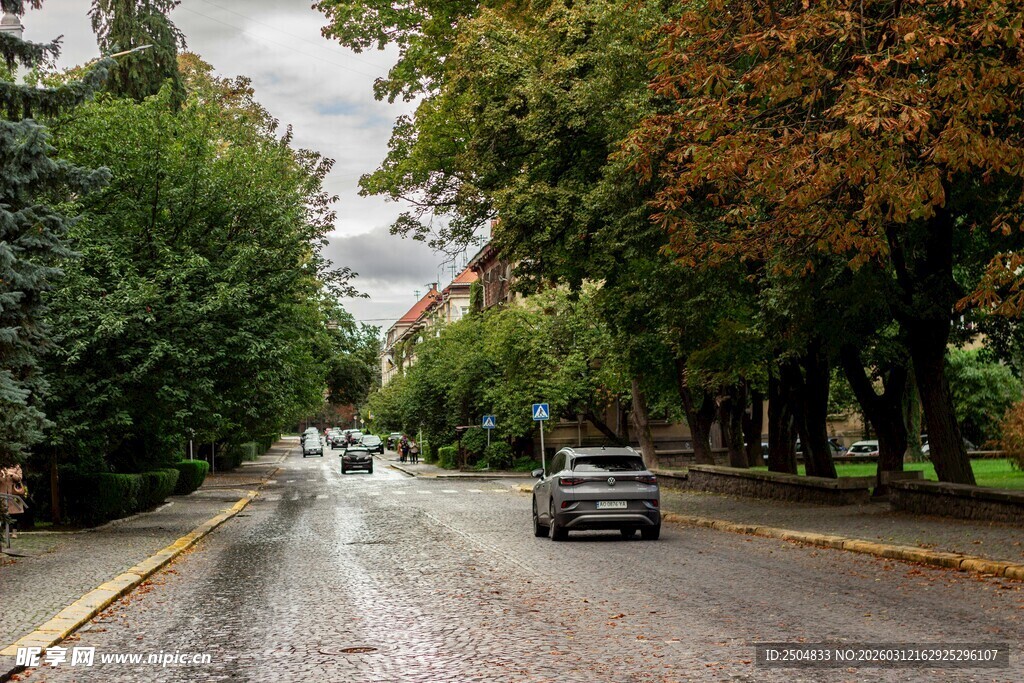 秋日林荫道上的行驶车辆