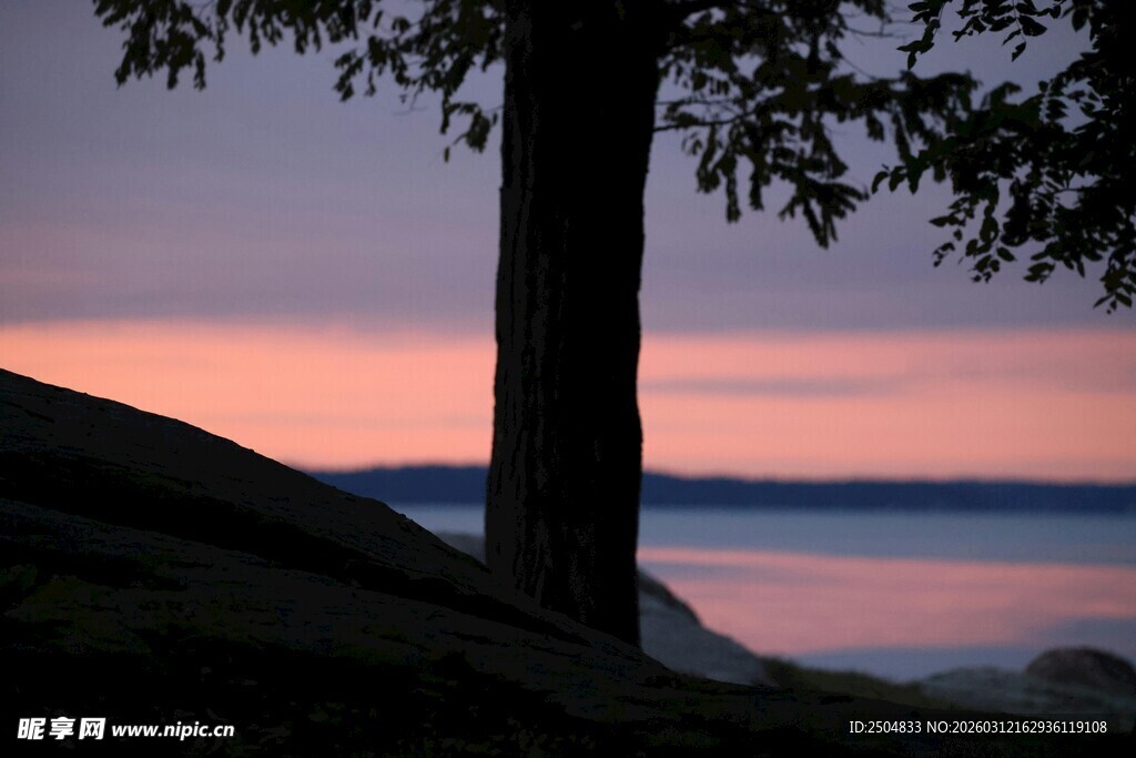 湖畔树影下的绝美日落