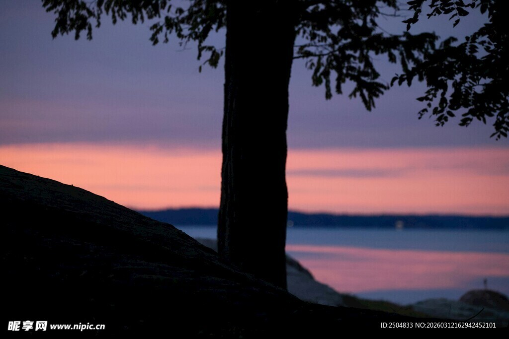 黄昏湖畔树影的静谧美景