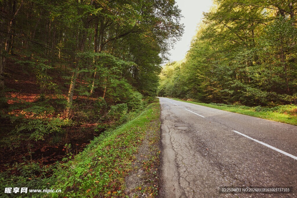 林间公路 开启自然之旅