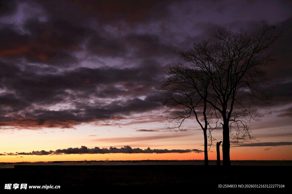 黄昏下的孤树与绚烂天空