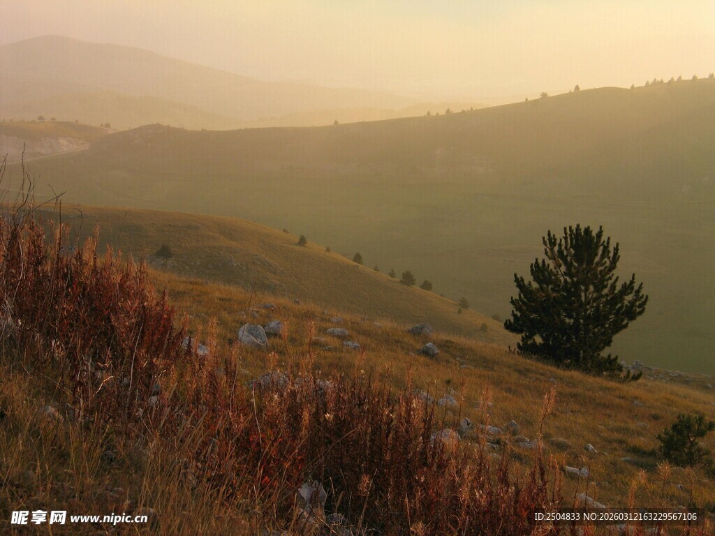 山间秋景 孤树屹立
