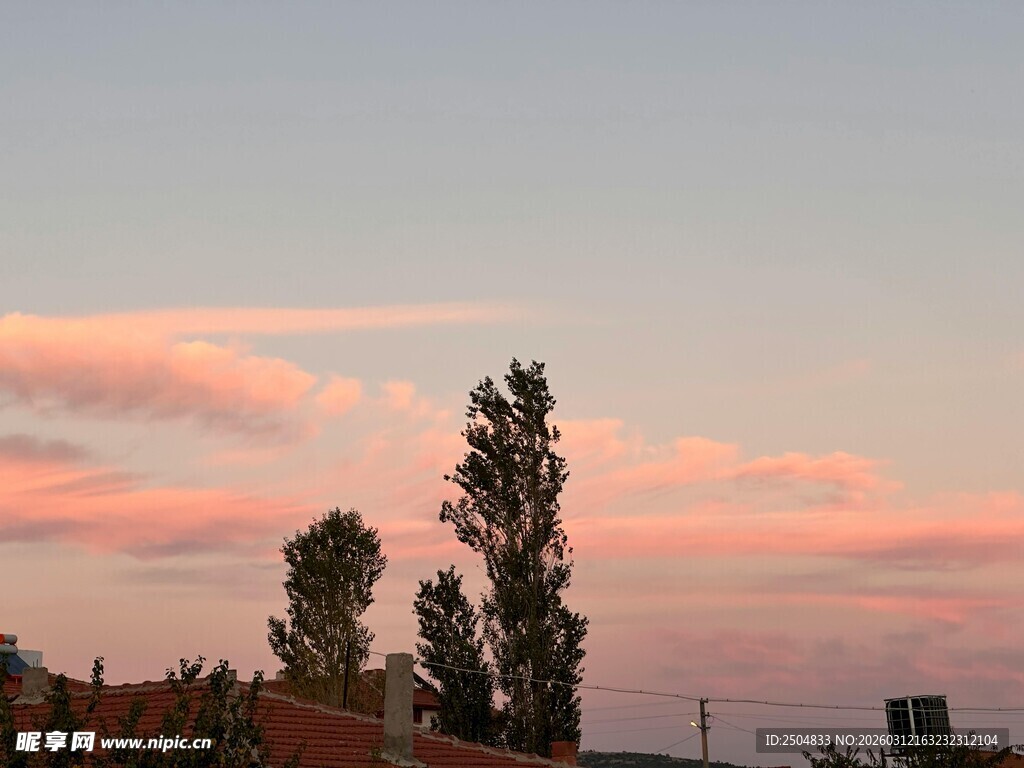 夕阳下的树木与绚丽云彩