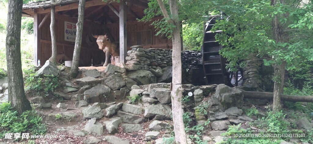 林间古朴小屋隐于自然