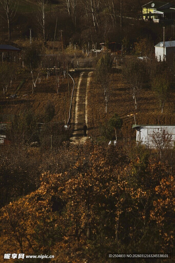 秋日乡村梯田景致