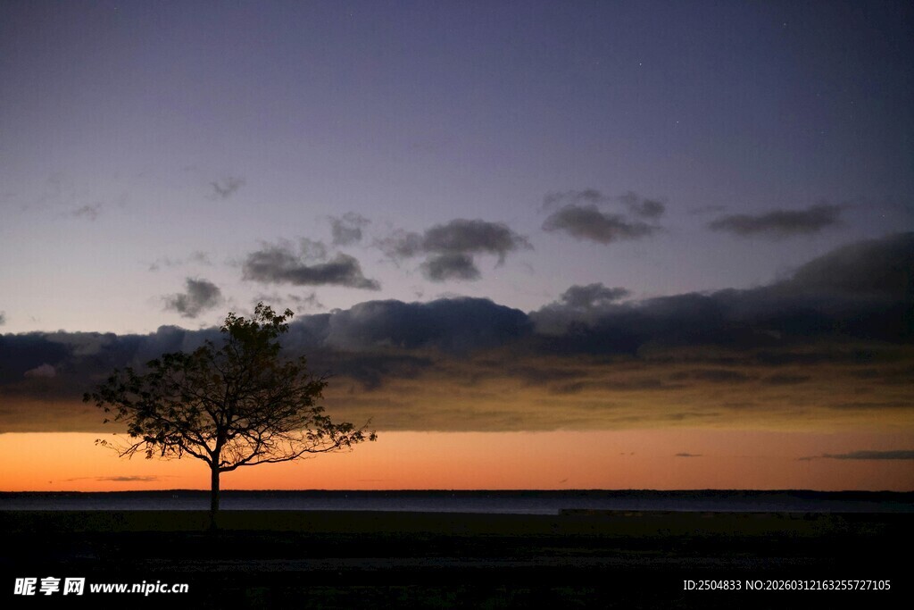 黄昏孤树 天地间的静谧