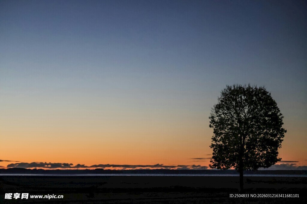 黄昏孤树的原野美景