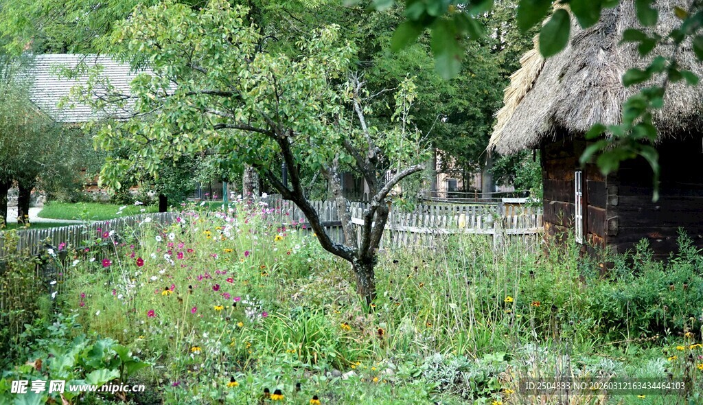 田园小屋旁的绿意景致