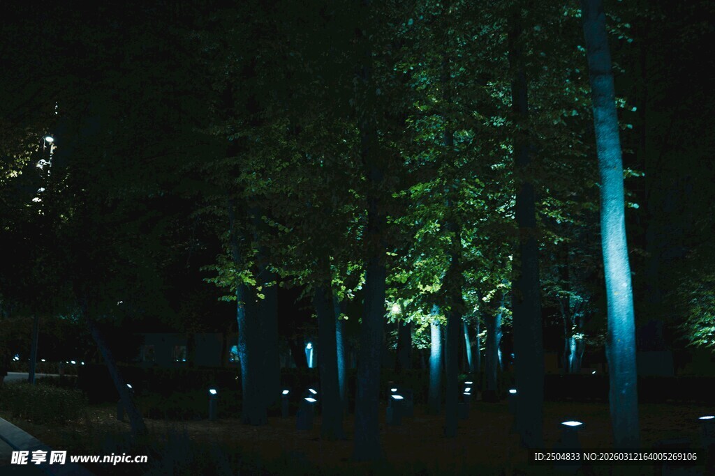 夜晚林间灯光秀景观