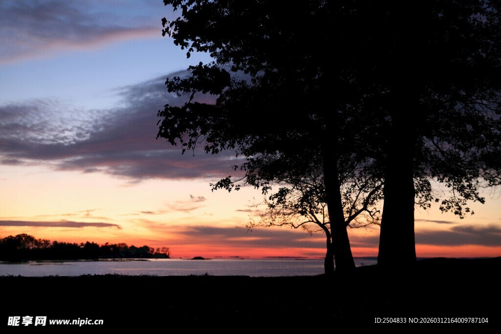 夕阳下的树与天空美景