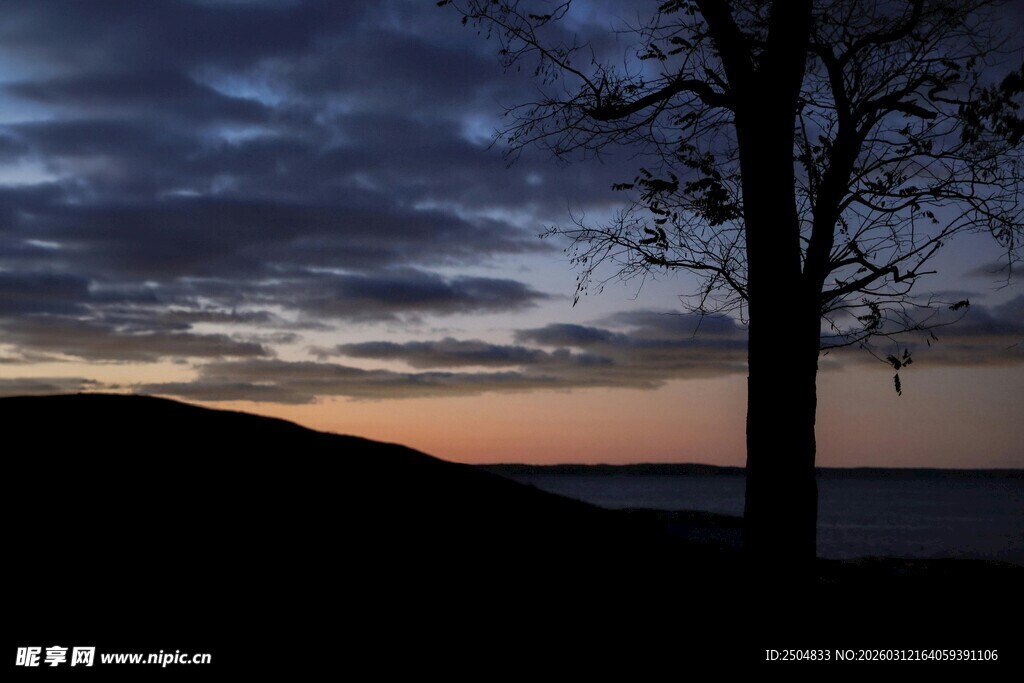 黄昏孤树 天边云霞美景