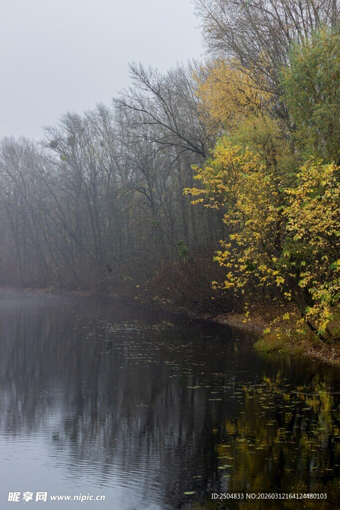 雾中湖畔秋色迷人