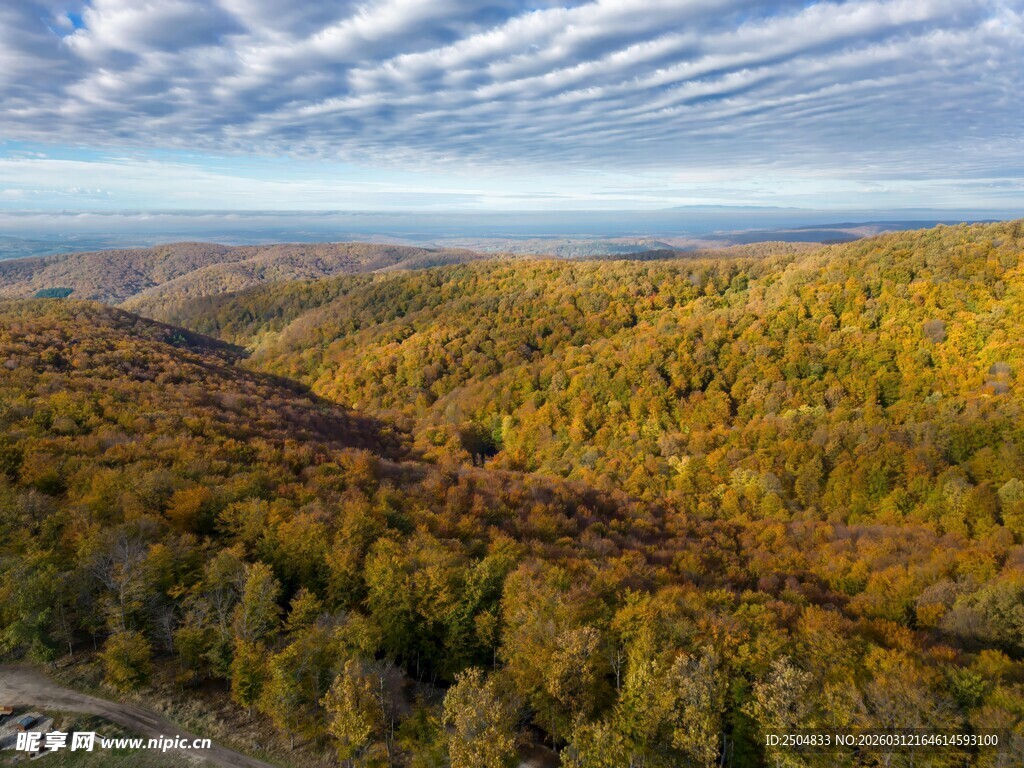 秋日山林壮丽风光