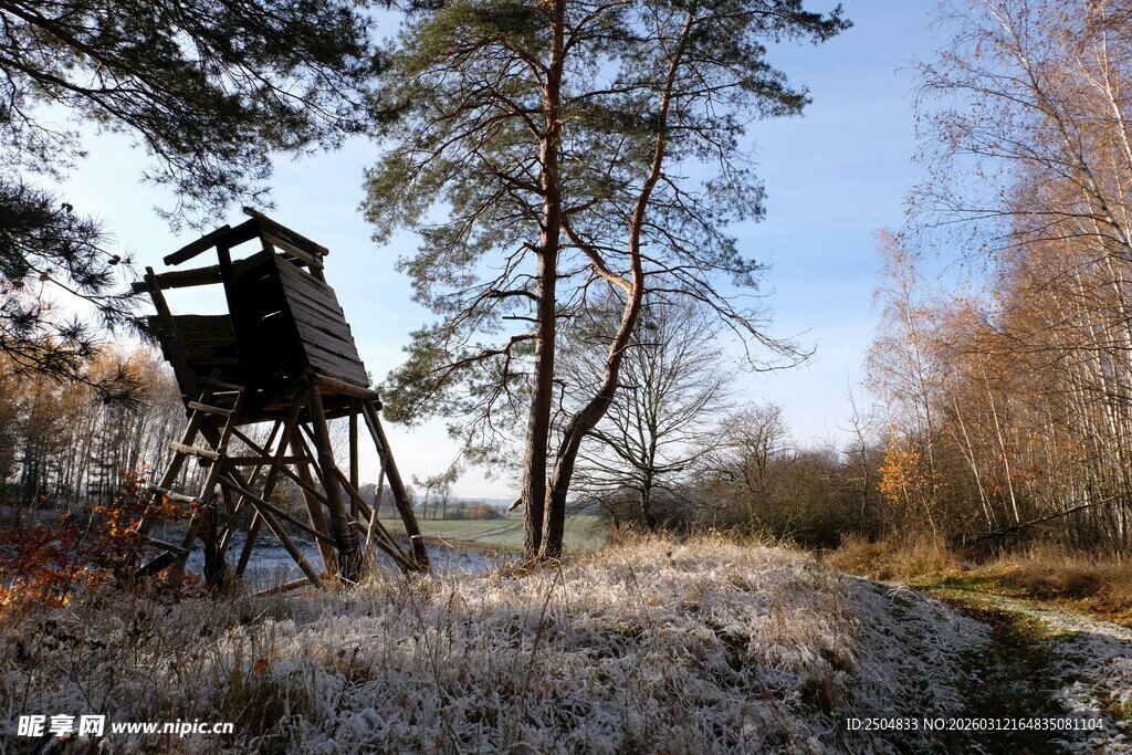 林中瞭望塔 冬日静谧景致