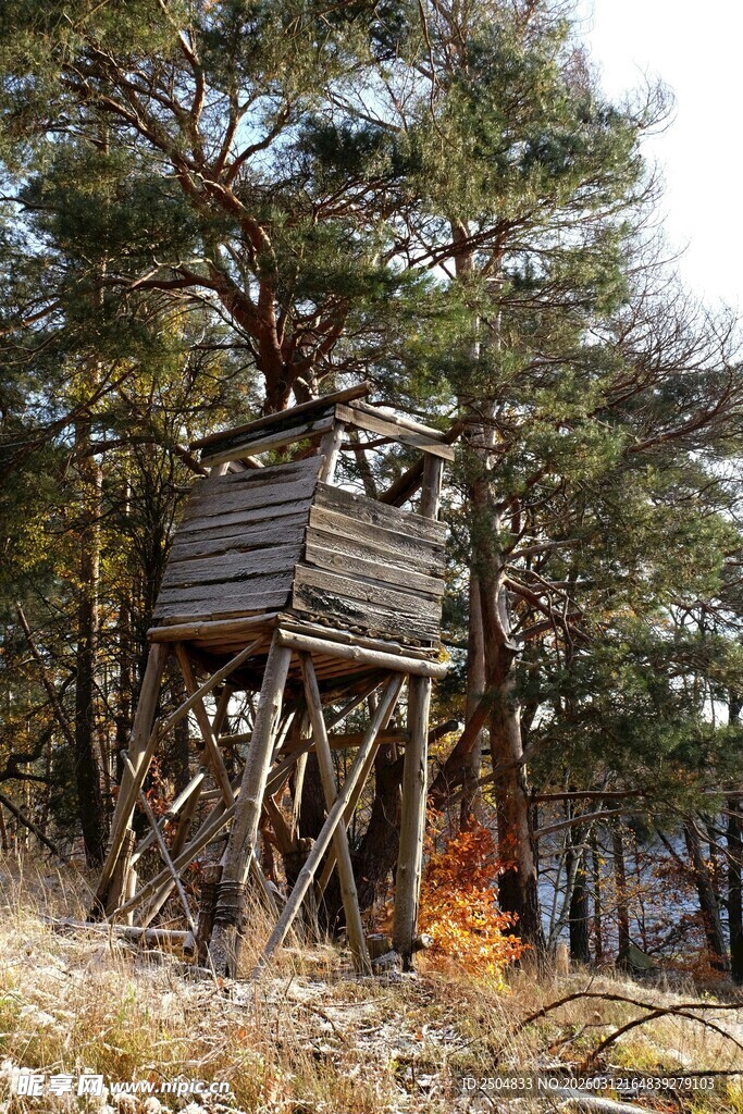 森林中的特色木质瞭望塔