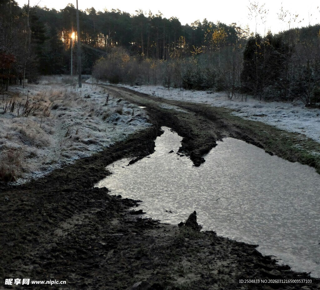 冬日野外泥泞与薄冰景象