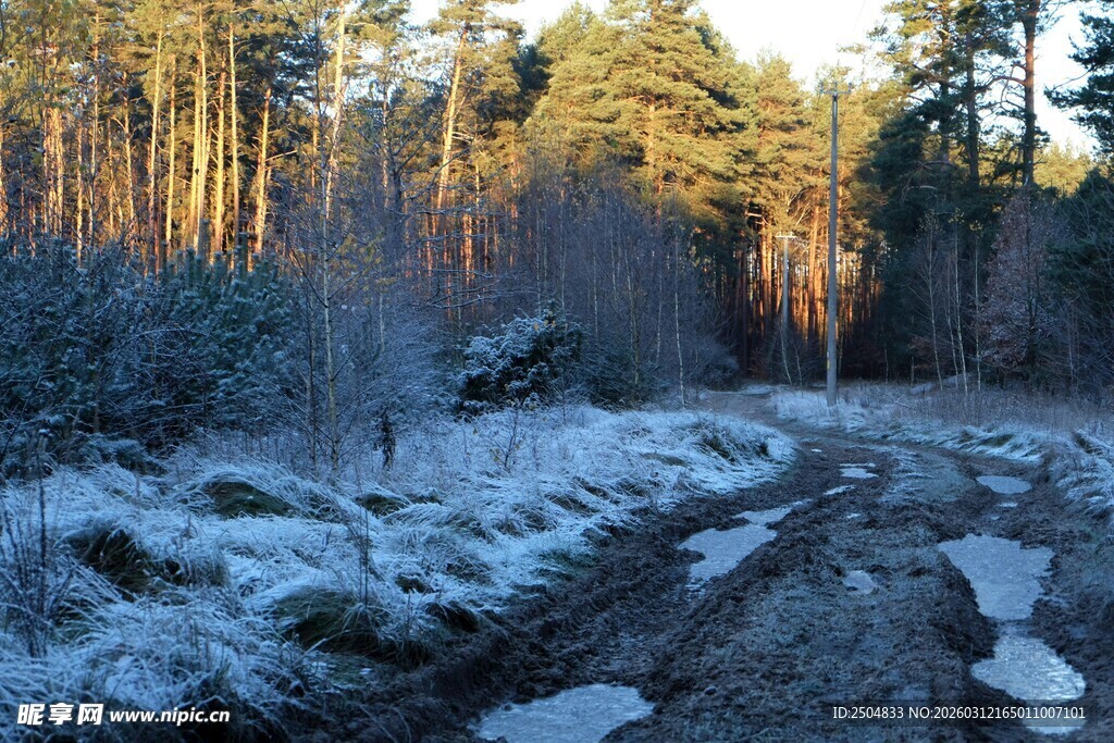 冬日林间覆雪泥泞小路