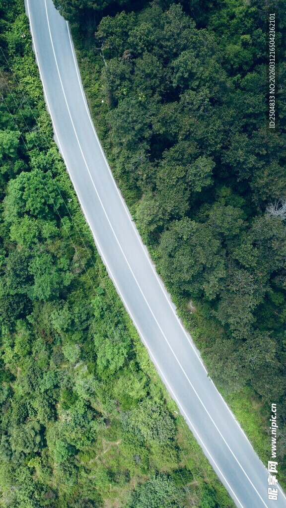 蜿蜒公路穿行翠绿山林