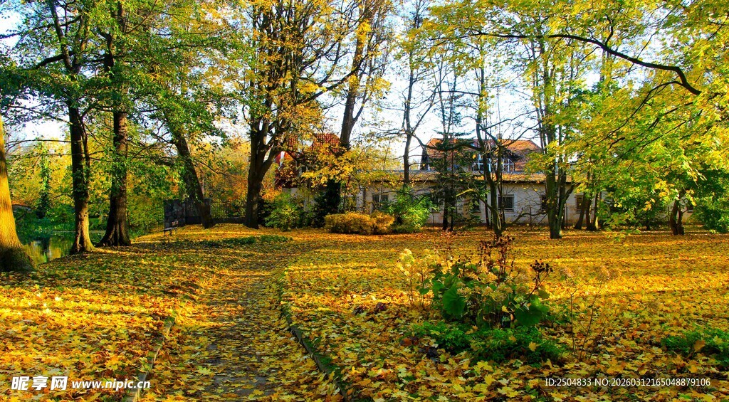 秋日林间小屋美景