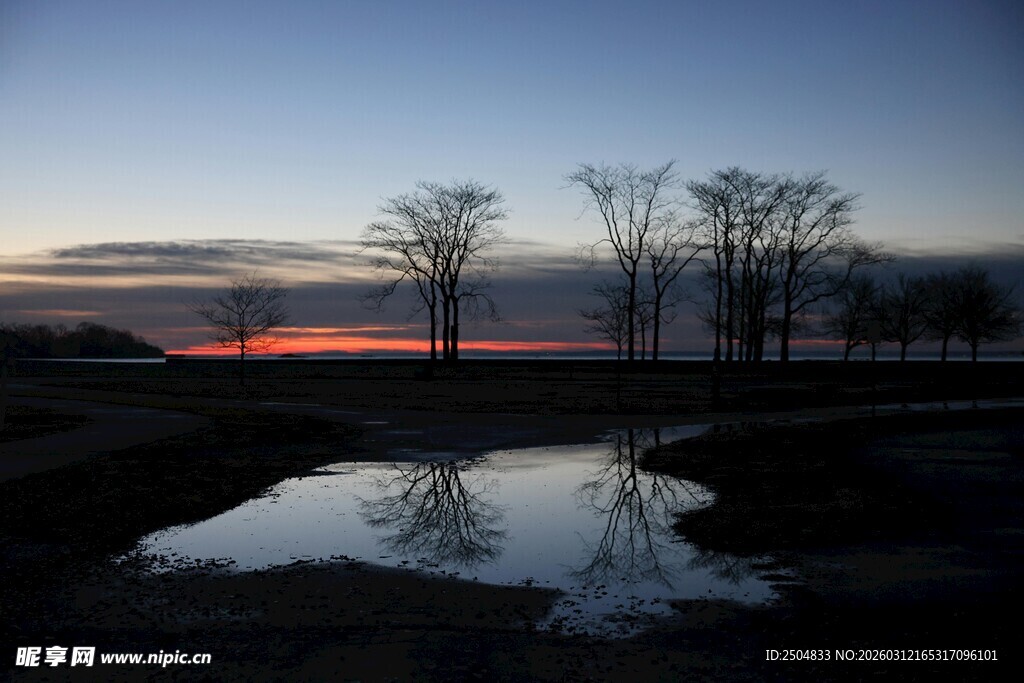 日落时分湖畔树木美景