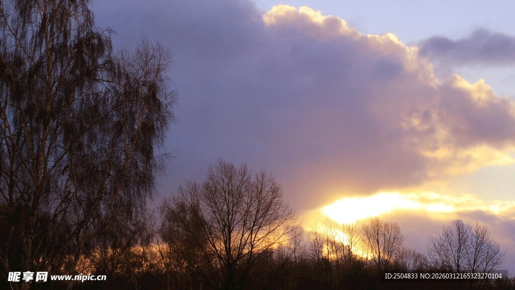 夕阳下的树木与绚丽云彩