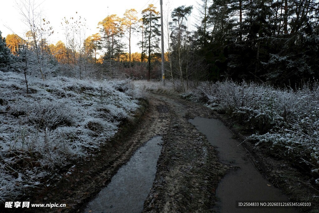 冬日林间泥泞小路