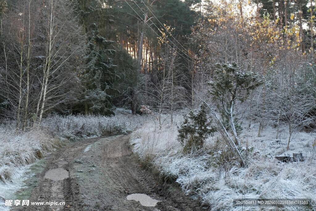 冬日林间覆雪小径