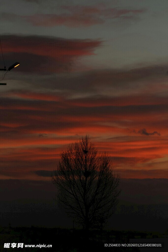夕阳下的孤树与绚烂天空