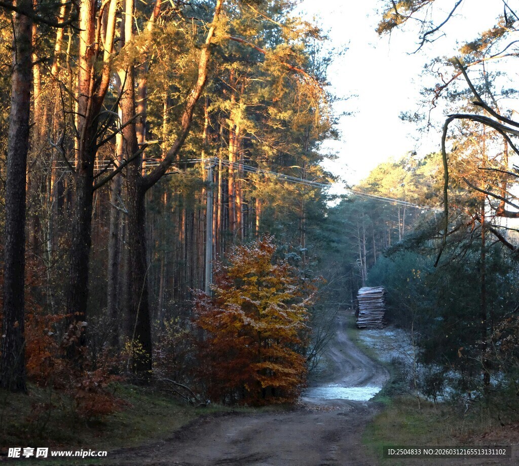 秋日林间小道美景