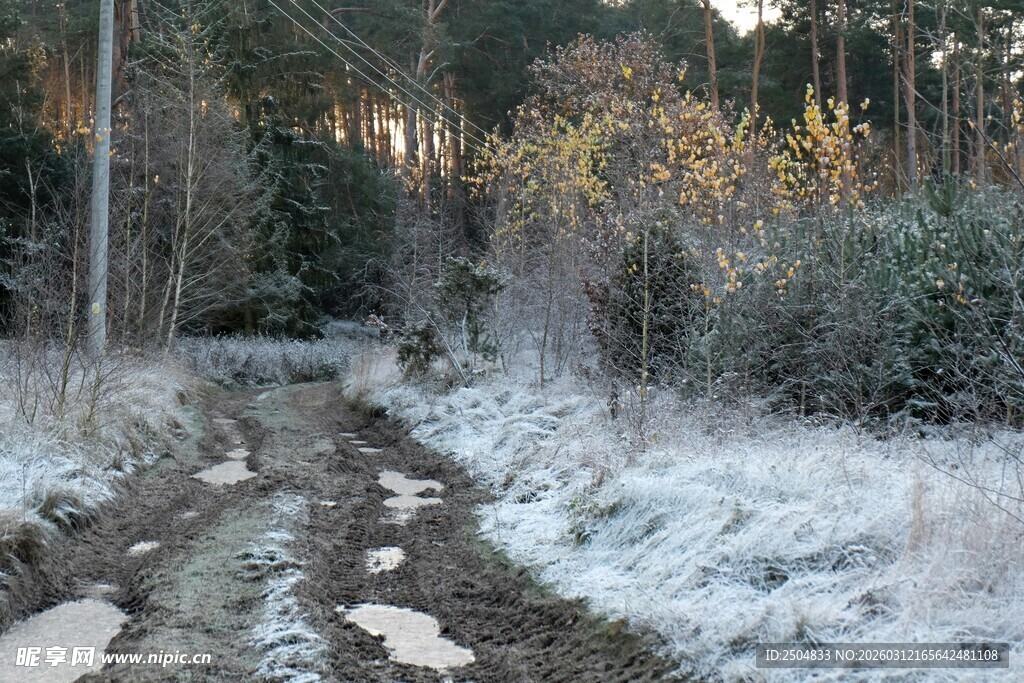 冬日林间覆雪小径