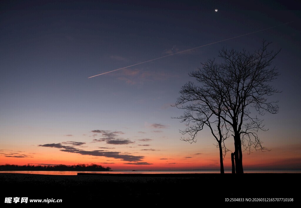 黄昏孤树 天际一抹绚烂
