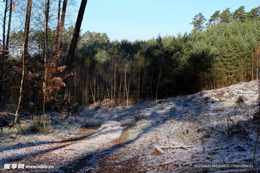 冬日林间雪覆小径