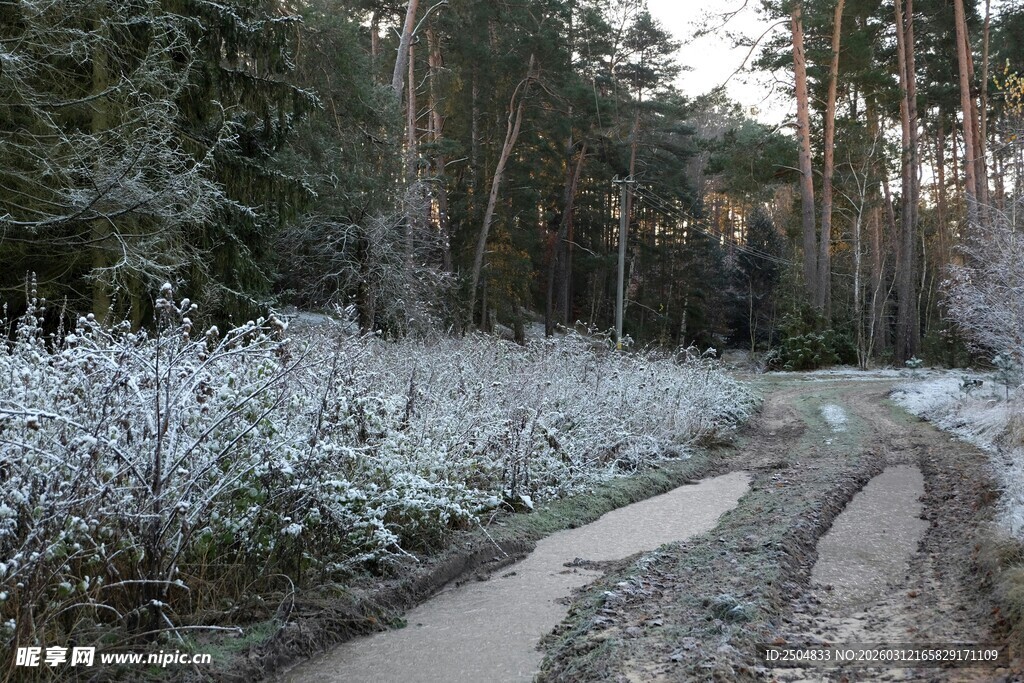 冬日林间小径雪景