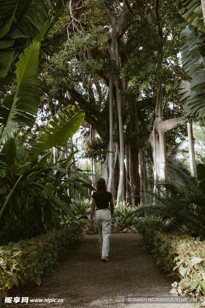 漫步绿植小径的静谧时刻