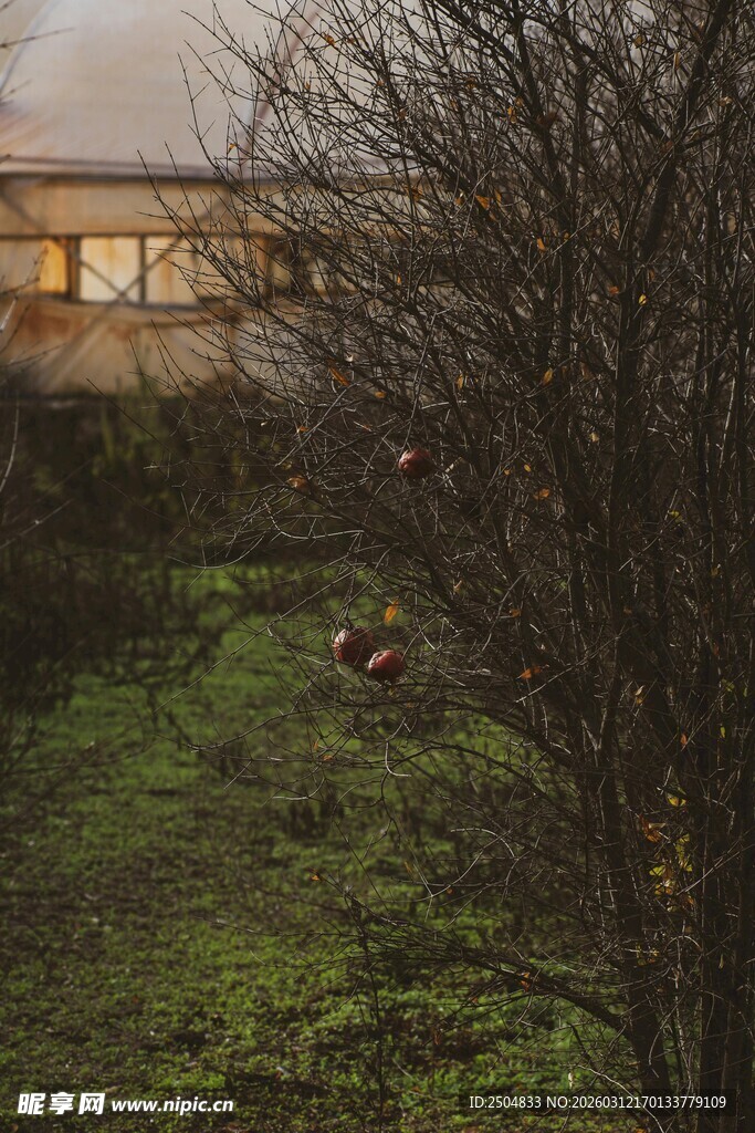 黄昏下的静谧庭院