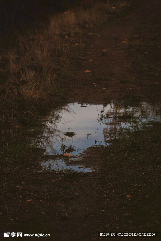 地面上的积水小水洼