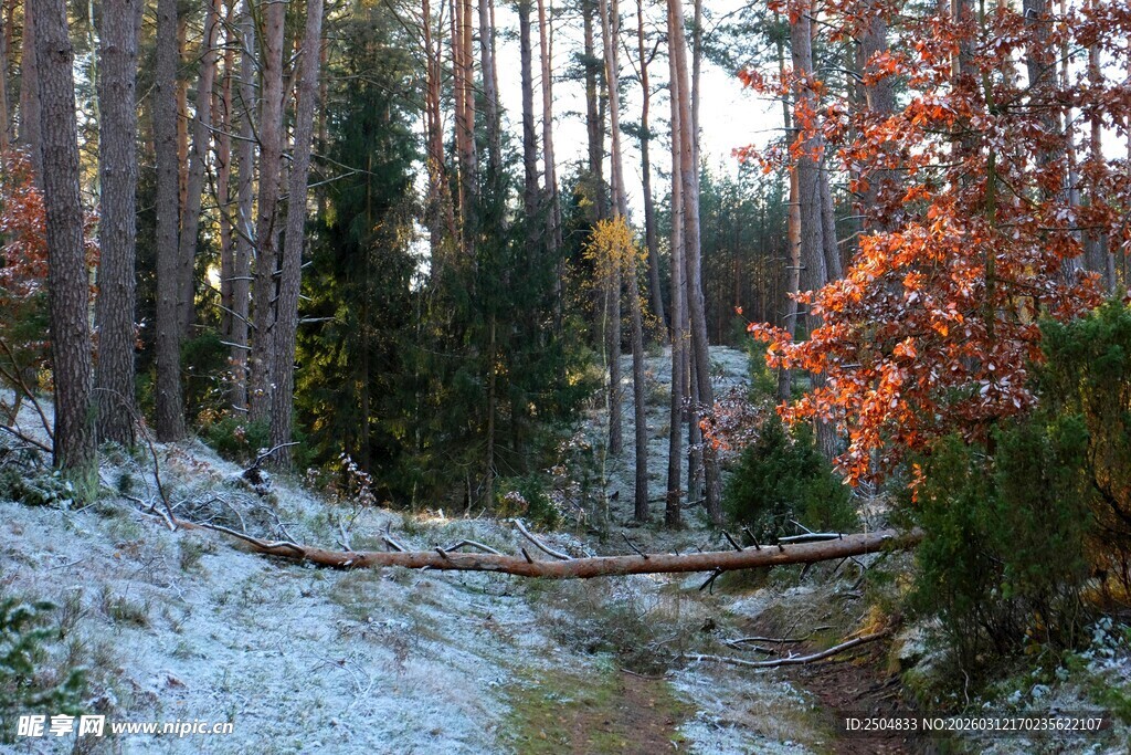雪覆山林间的秋日美景
