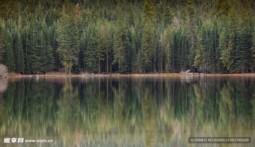 宁静湖畔森林倒影