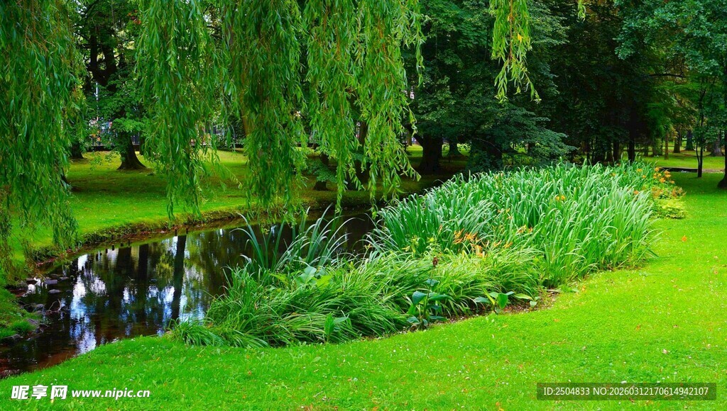 湖畔垂柳下的绿意景致