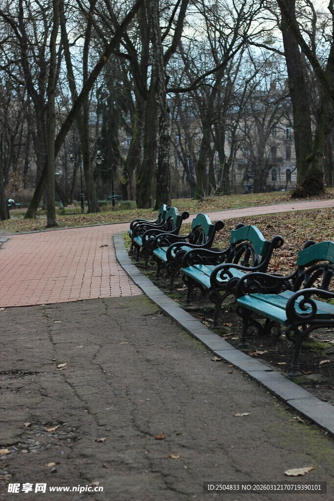 公园空长椅静候休憩者