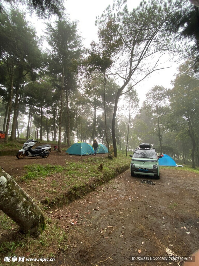 林间露营地的车辆与帐篷