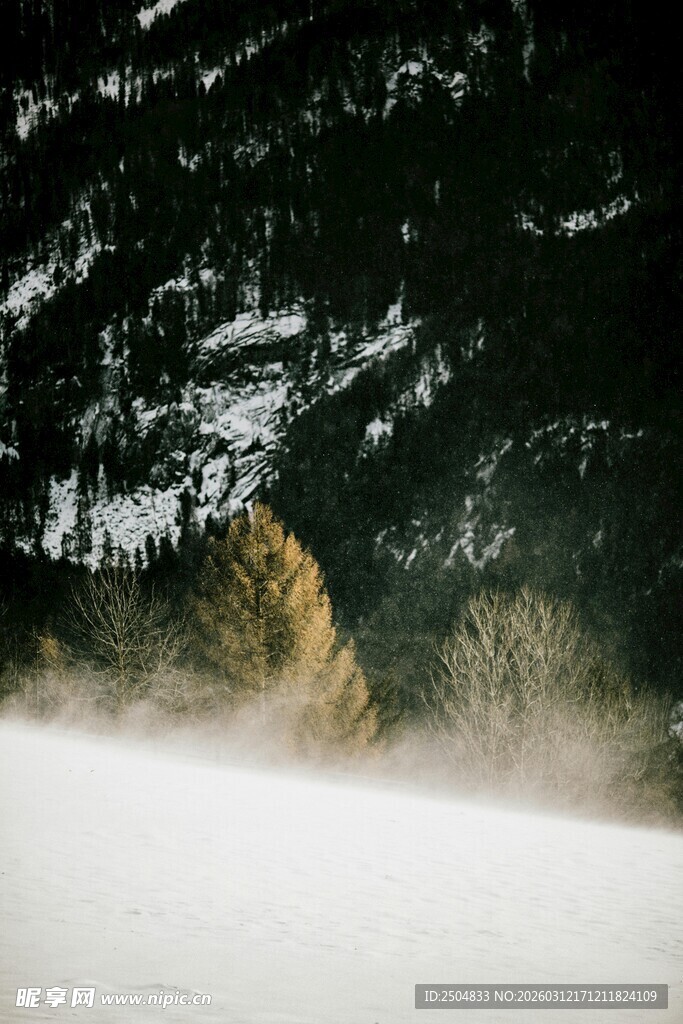 雪覆山林间的朦胧景致